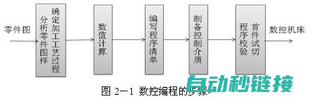 编程步骤与技巧 (编程步骤与技术的关系)