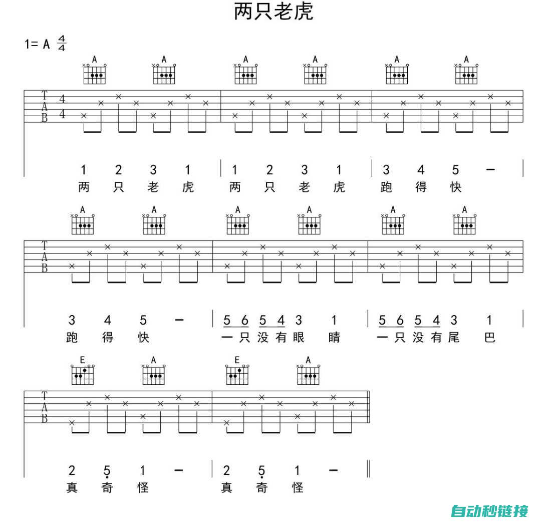 初学者入门必备指南 (初学者入门必学万能舞步一步一步教你)